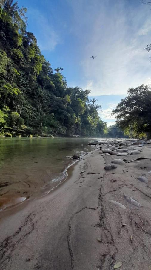 Playaselva Reserva Biologica Villa Archidona Dış mekan fotoğraf