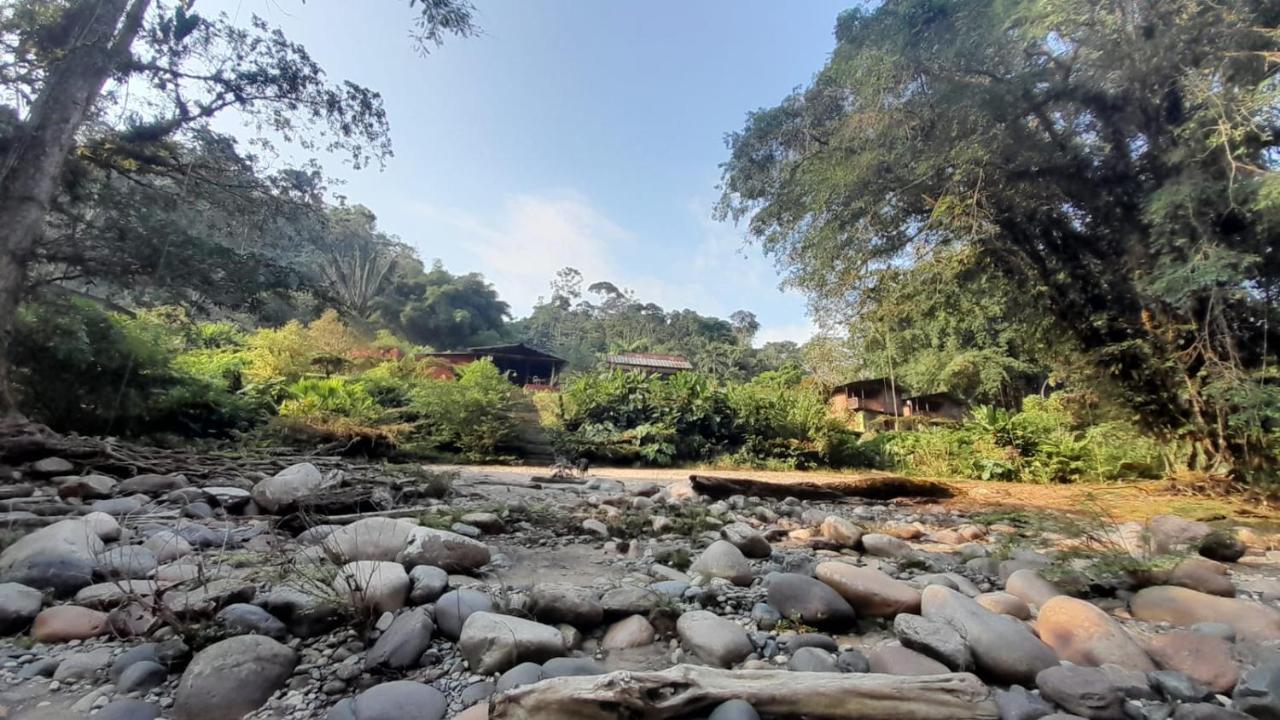 Playaselva Reserva Biologica Villa Archidona Dış mekan fotoğraf